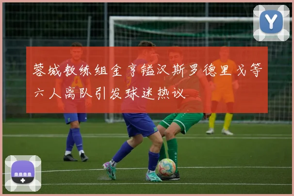 蓉城教练组金亨镒汉斯罗德里戈等六人离队引发球迷热议